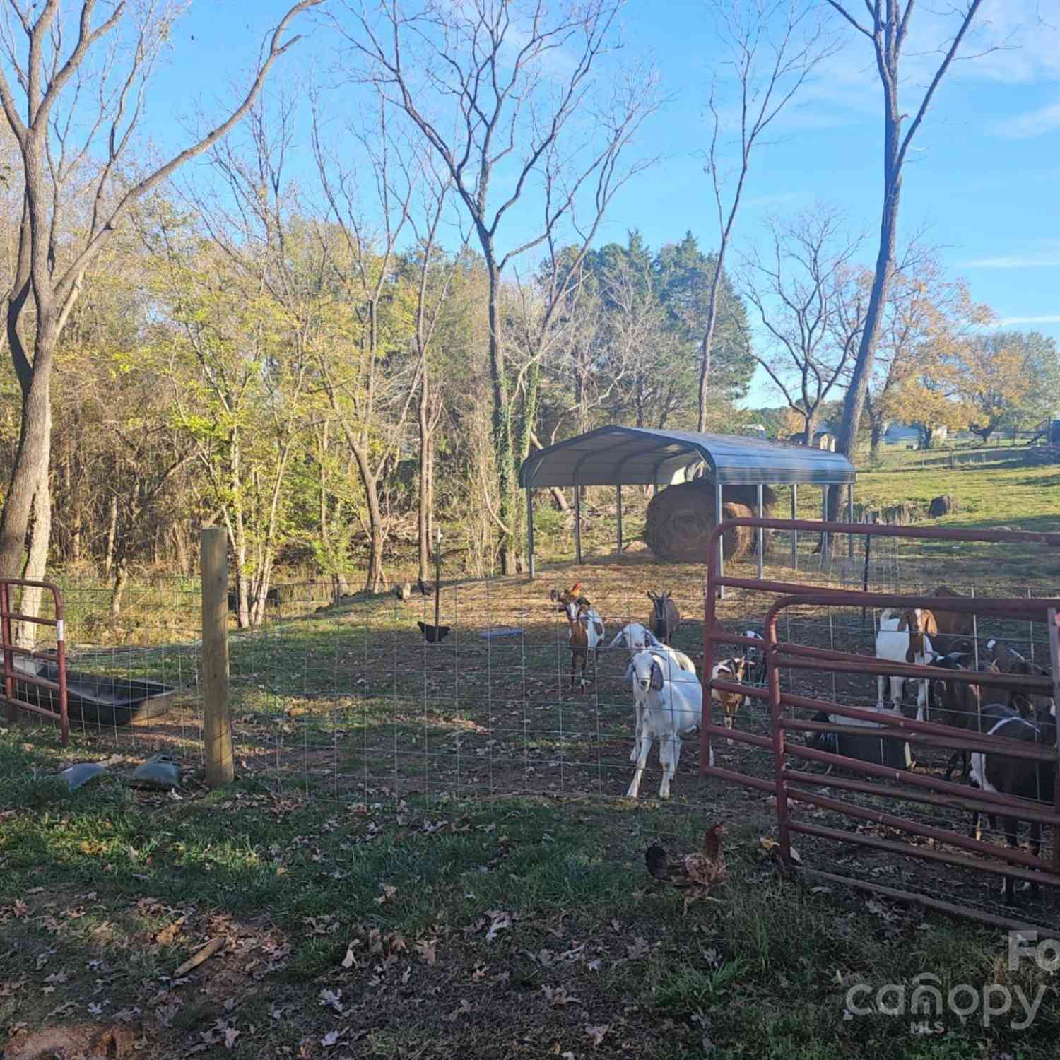 1794 Cat Square Road, Vale, North Carolina image 31