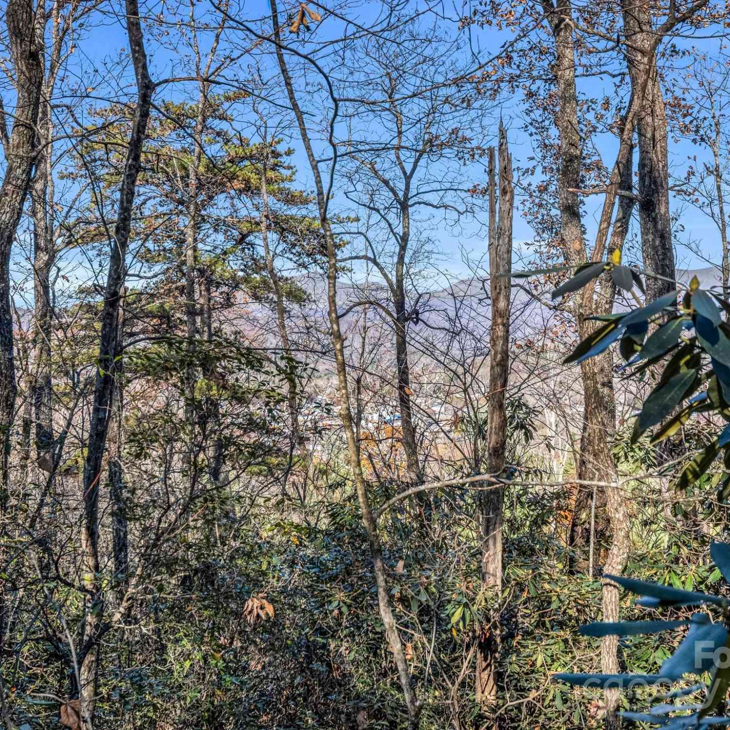 99999 Highland Drive #15R, Black Mountain, North Carolina image 9