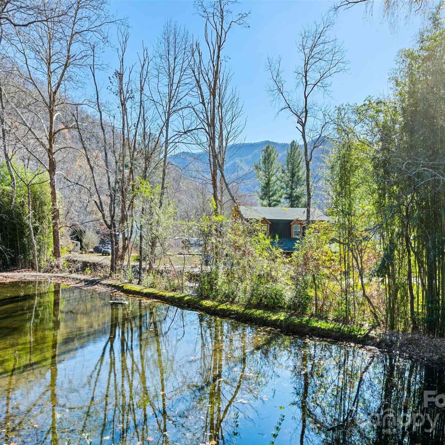 40 Meadows Lane, Maggie Valley, North Carolina image 9