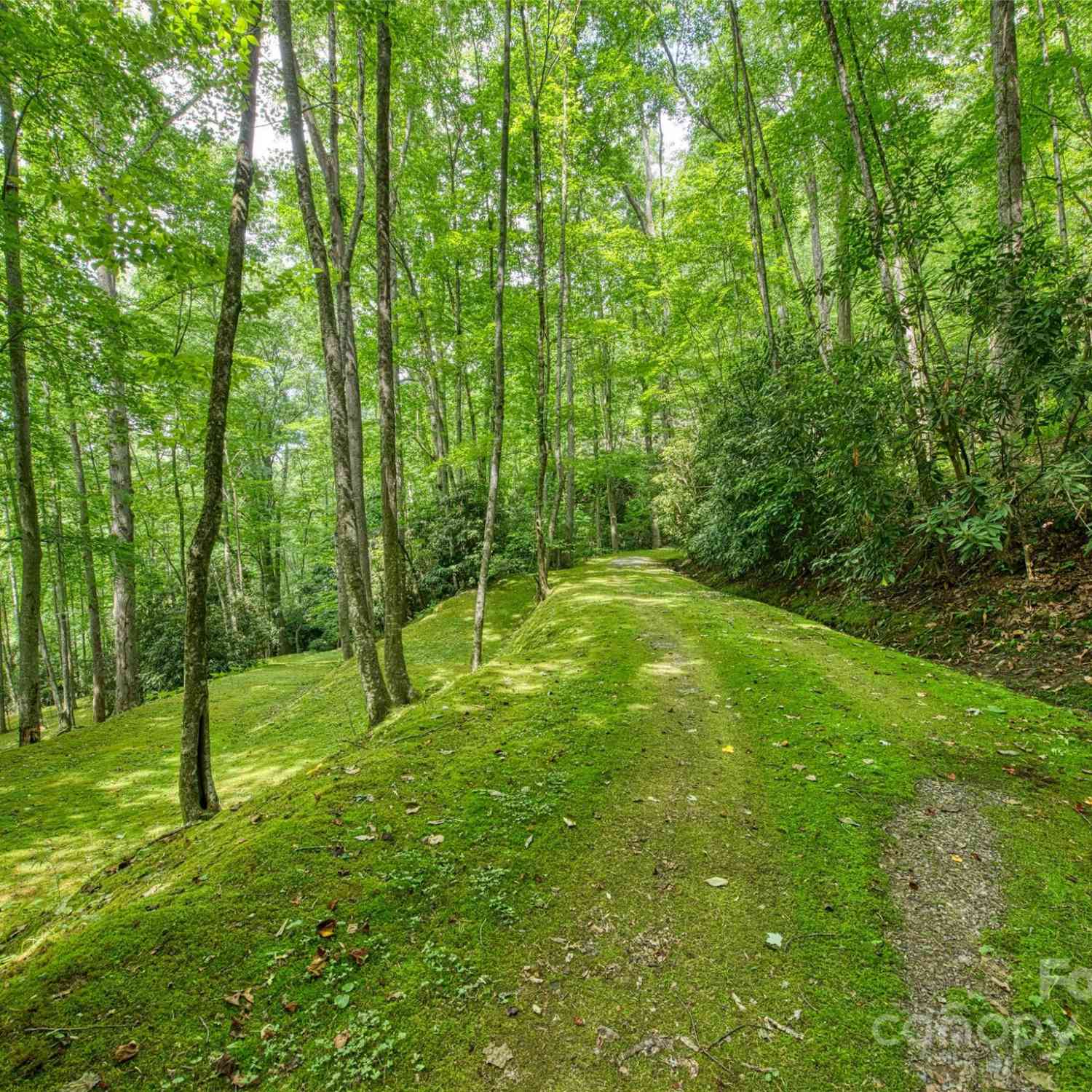 000 Cawood Lane, Clyde, North Carolina image 13