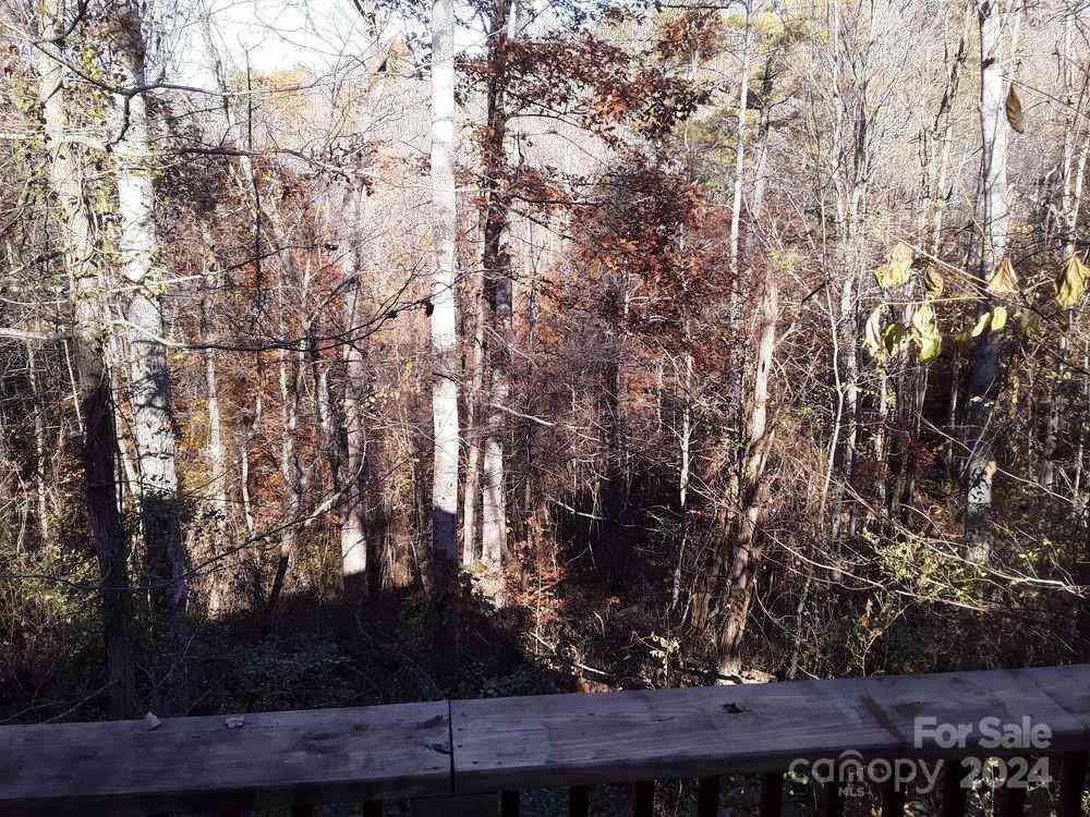 2200 Walnut Creek Road, Marshall, North Carolina image 28