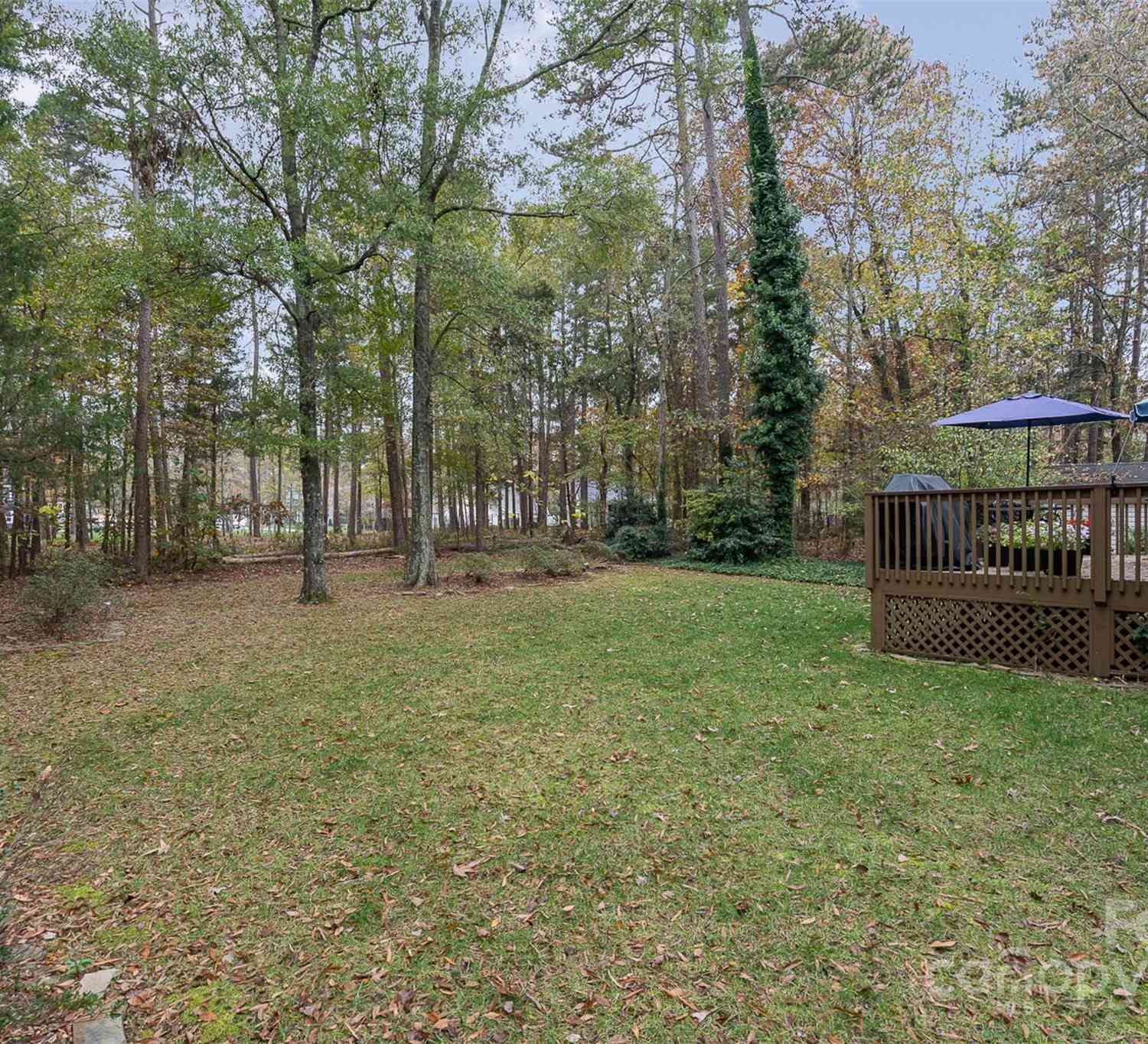 10910 Sycamore Club Drive, Mint Hill, North Carolina image 29