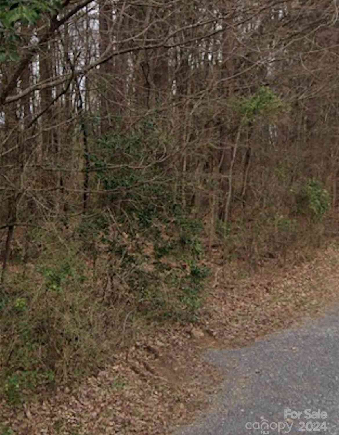 1002 Moorebrook Drive, Charlotte, North Carolina image 2