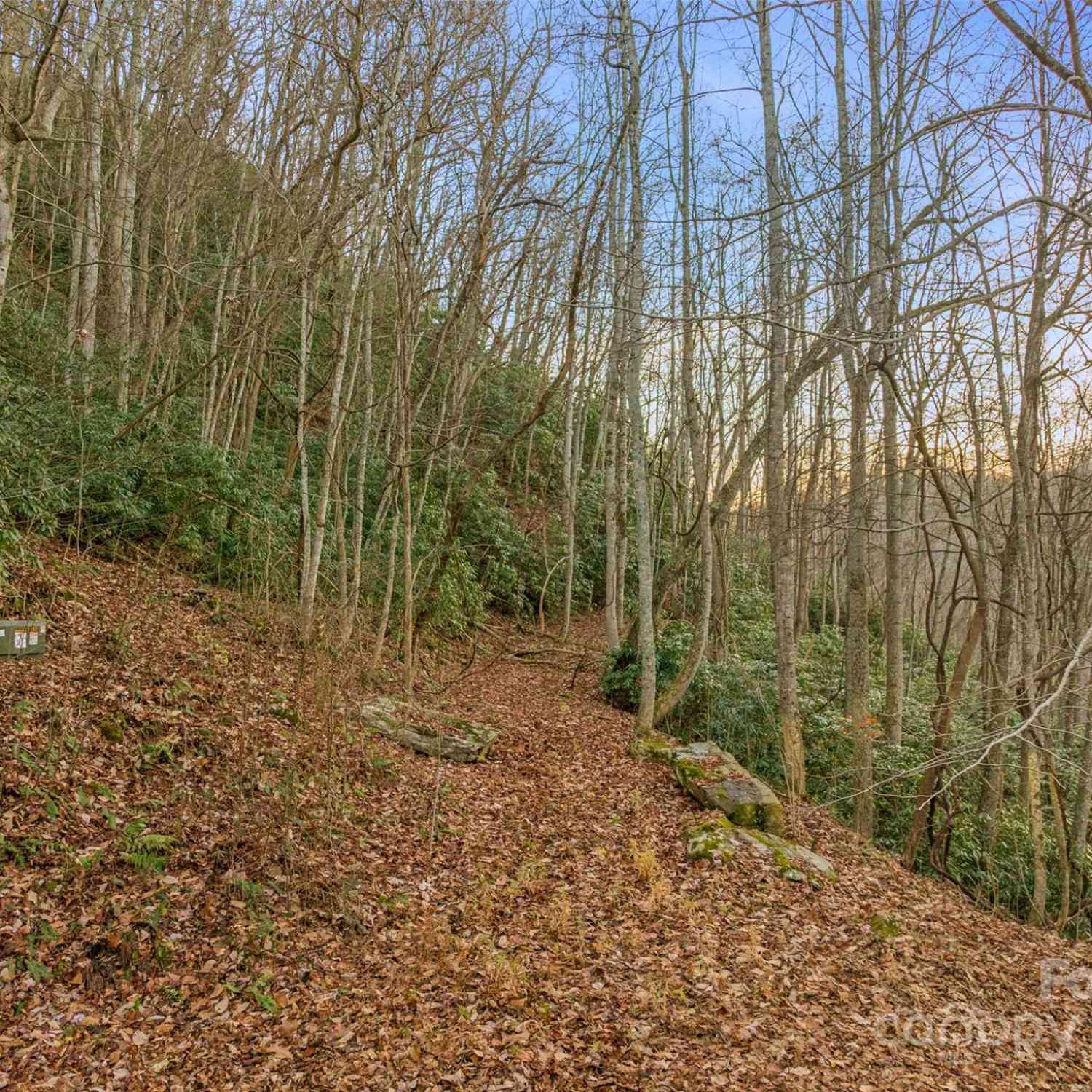 370 Cabin Creek Trail, Mars Hill, North Carolina image 9