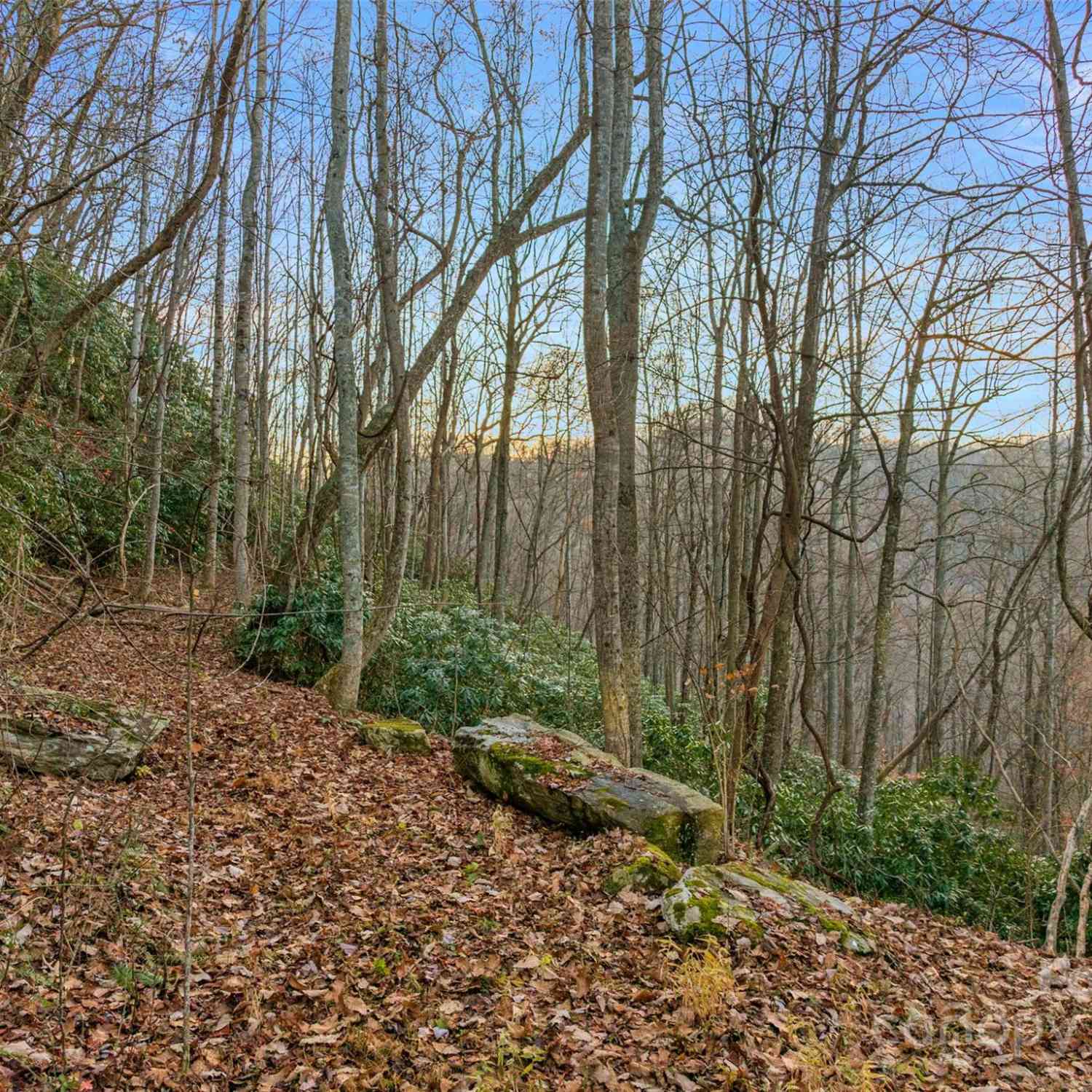 370 Cabin Creek Trail, Mars Hill, North Carolina image 8