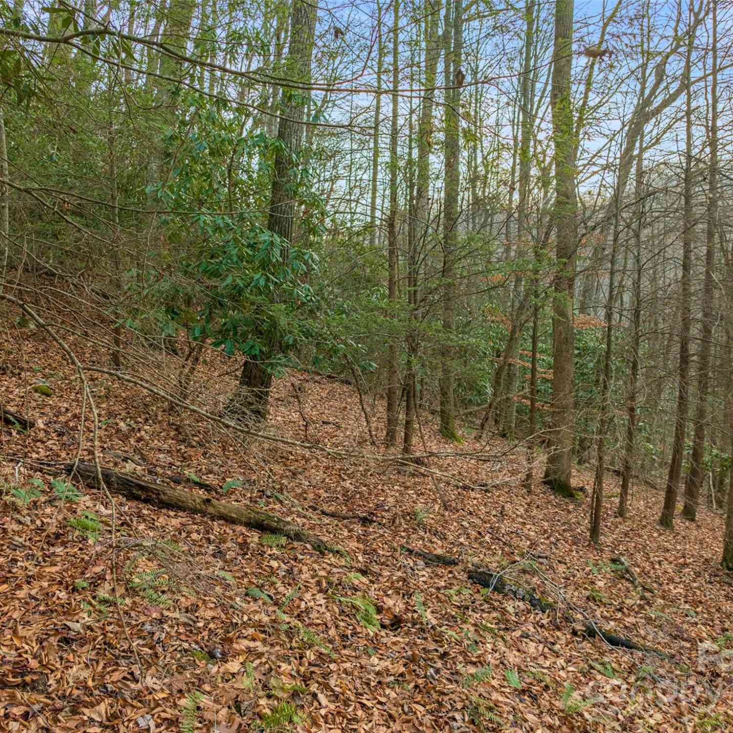 370 Cabin Creek Trail, Mars Hill, North Carolina image 6