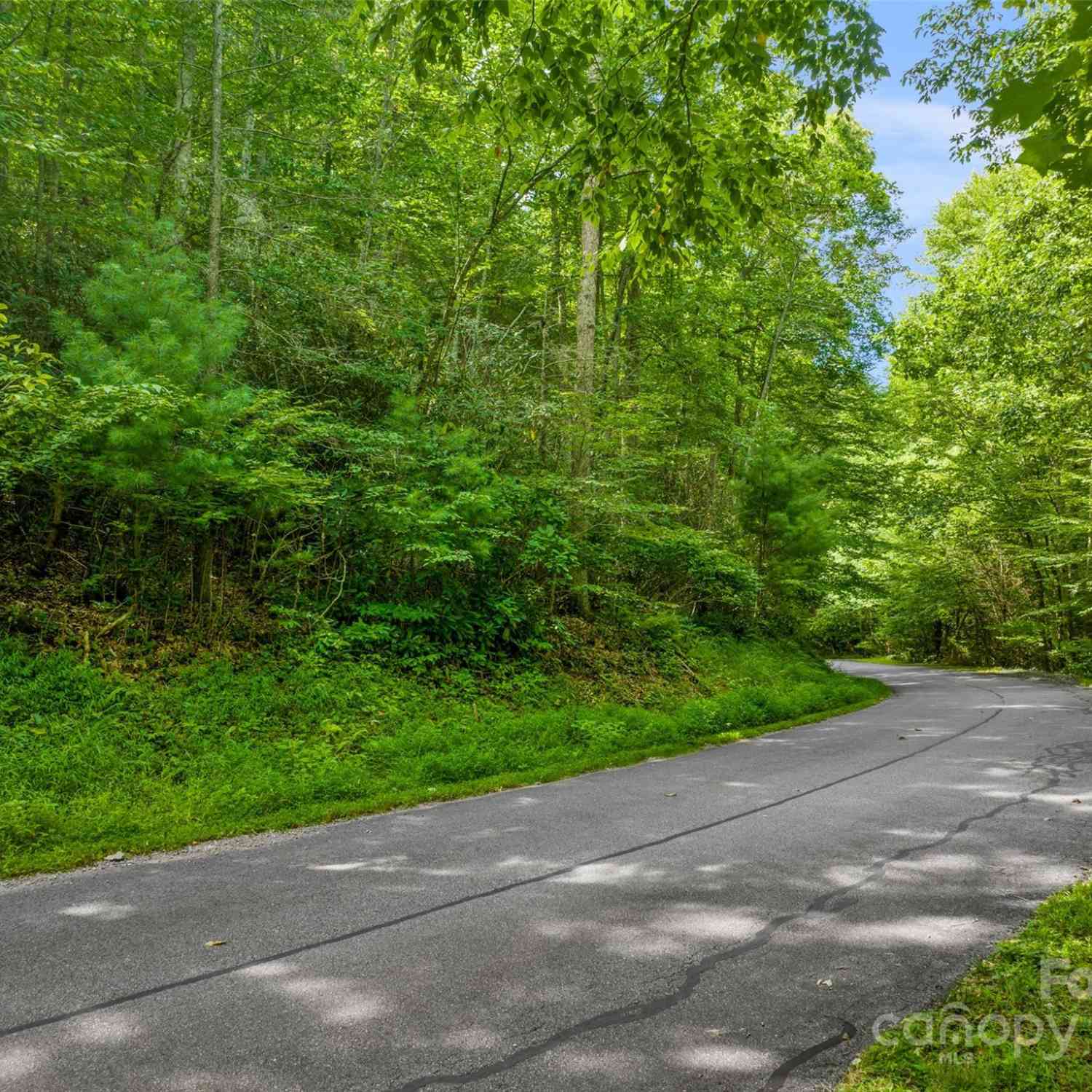 370 Cabin Creek Trail, Mars Hill, North Carolina image 14