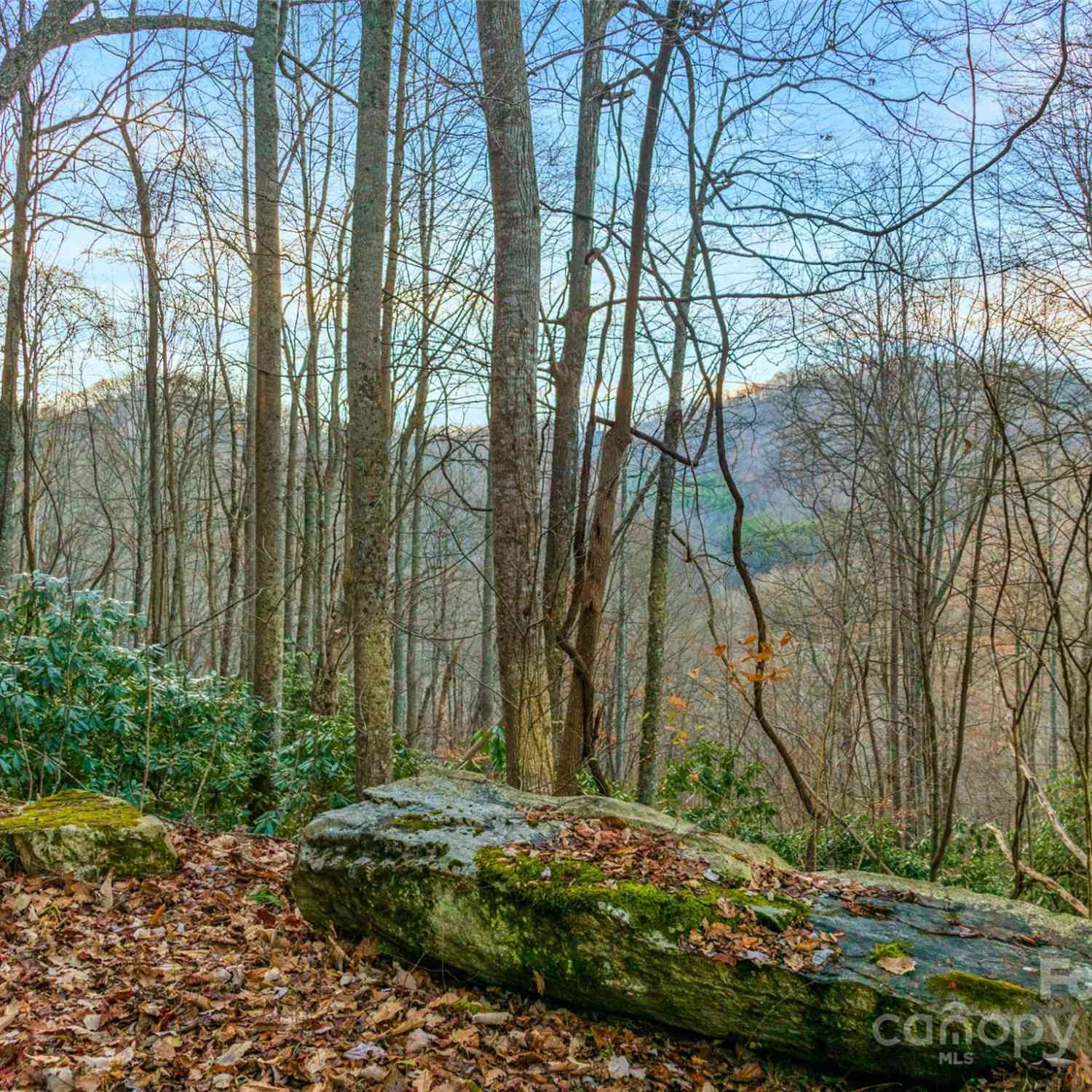 370 Cabin Creek Trail, Mars Hill, North Carolina image 1