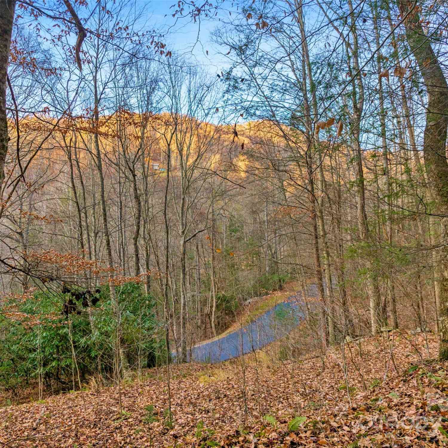 370 Cabin Creek Trail, Mars Hill, North Carolina image 11