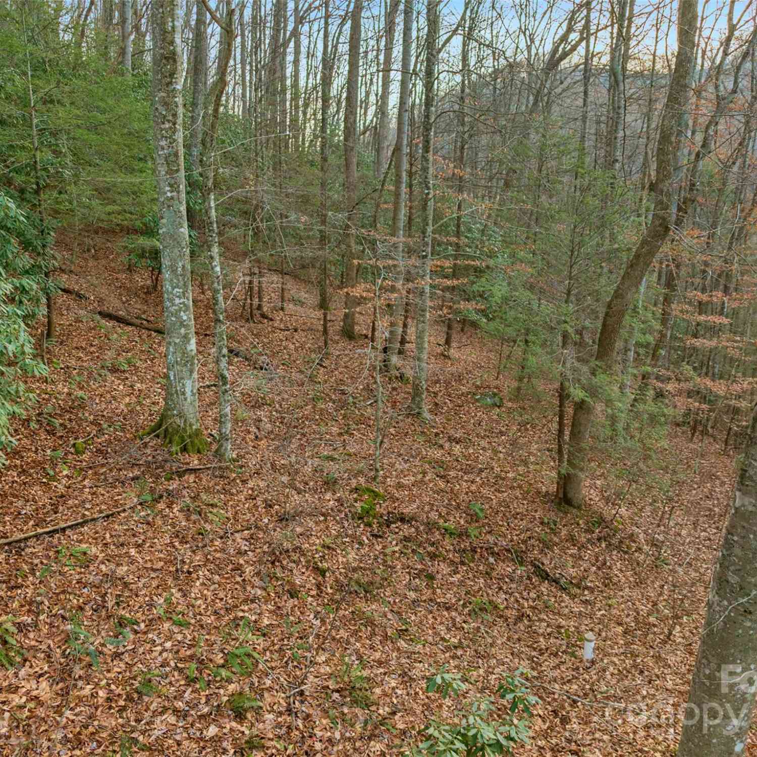 370 Cabin Creek Trail, Mars Hill, North Carolina image 5