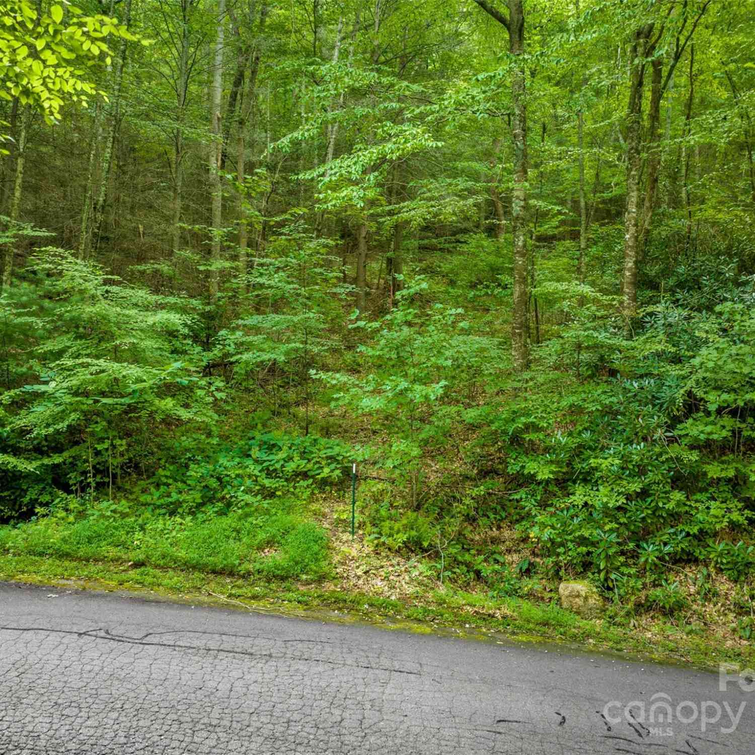 370 Cabin Creek Trail, Mars Hill, North Carolina image 15