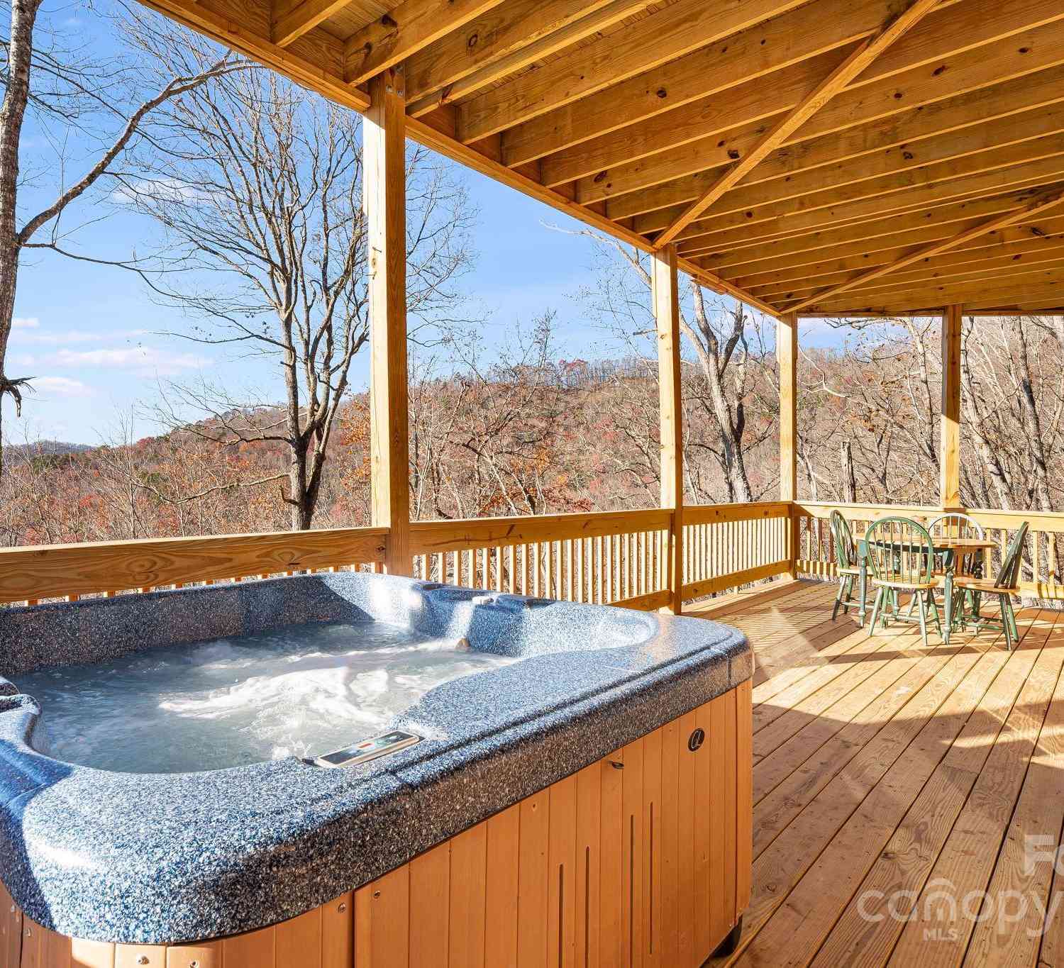 350 Hickory Springs Trail, Bryson City, North Carolina image 8