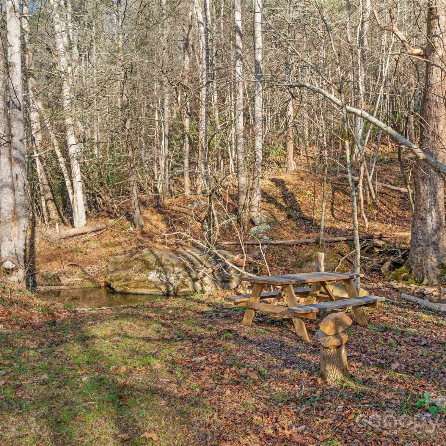 23 Katies Road #145.95 ACRES, Marshall, North Carolina image 33