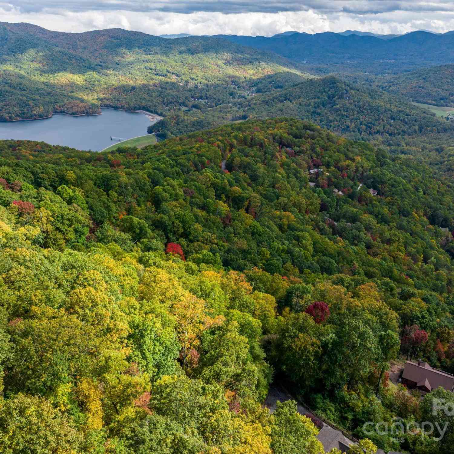 26 Wedgewood Terrace, Black Mountain, North Carolina image 3