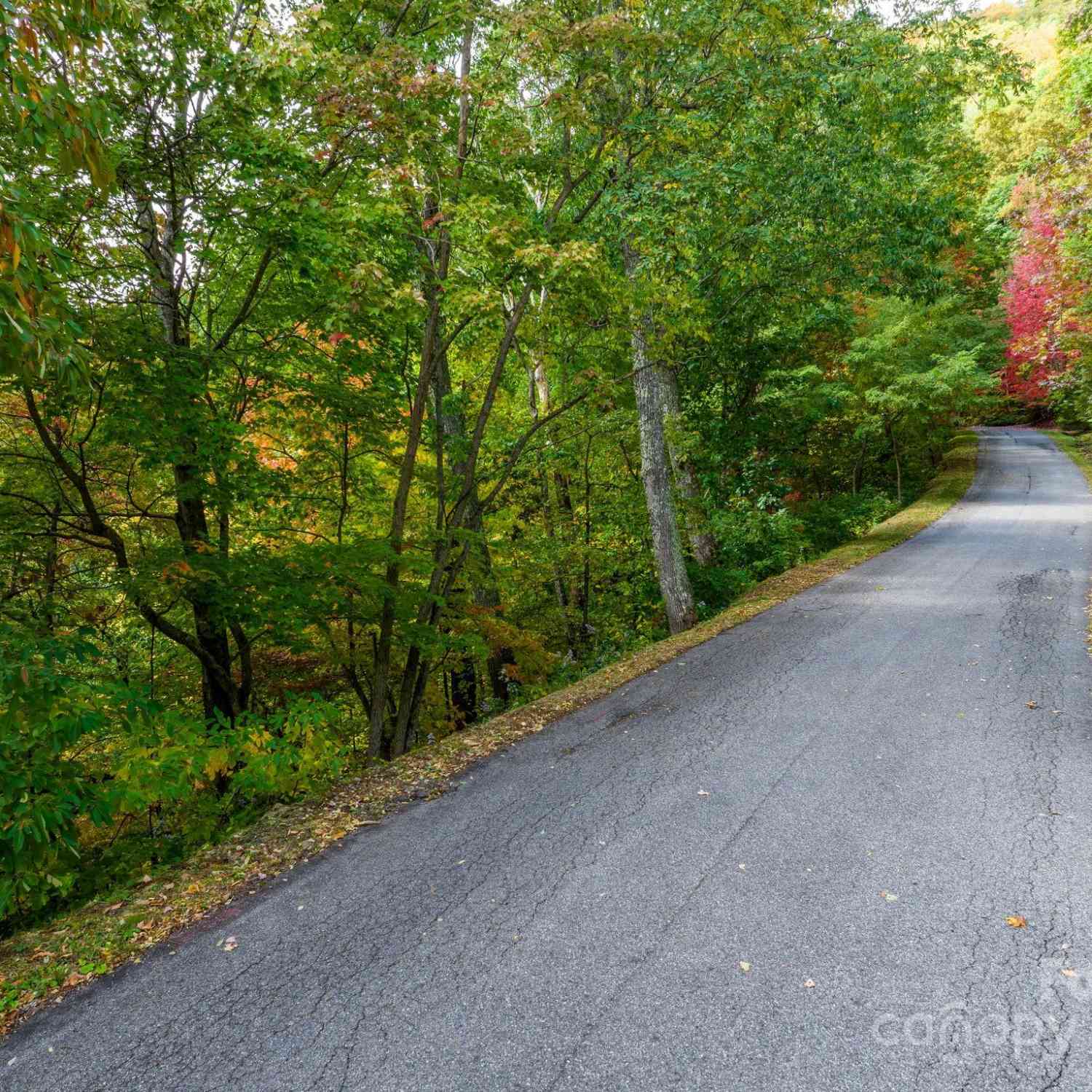 26 Wedgewood Terrace, Black Mountain, North Carolina image 10