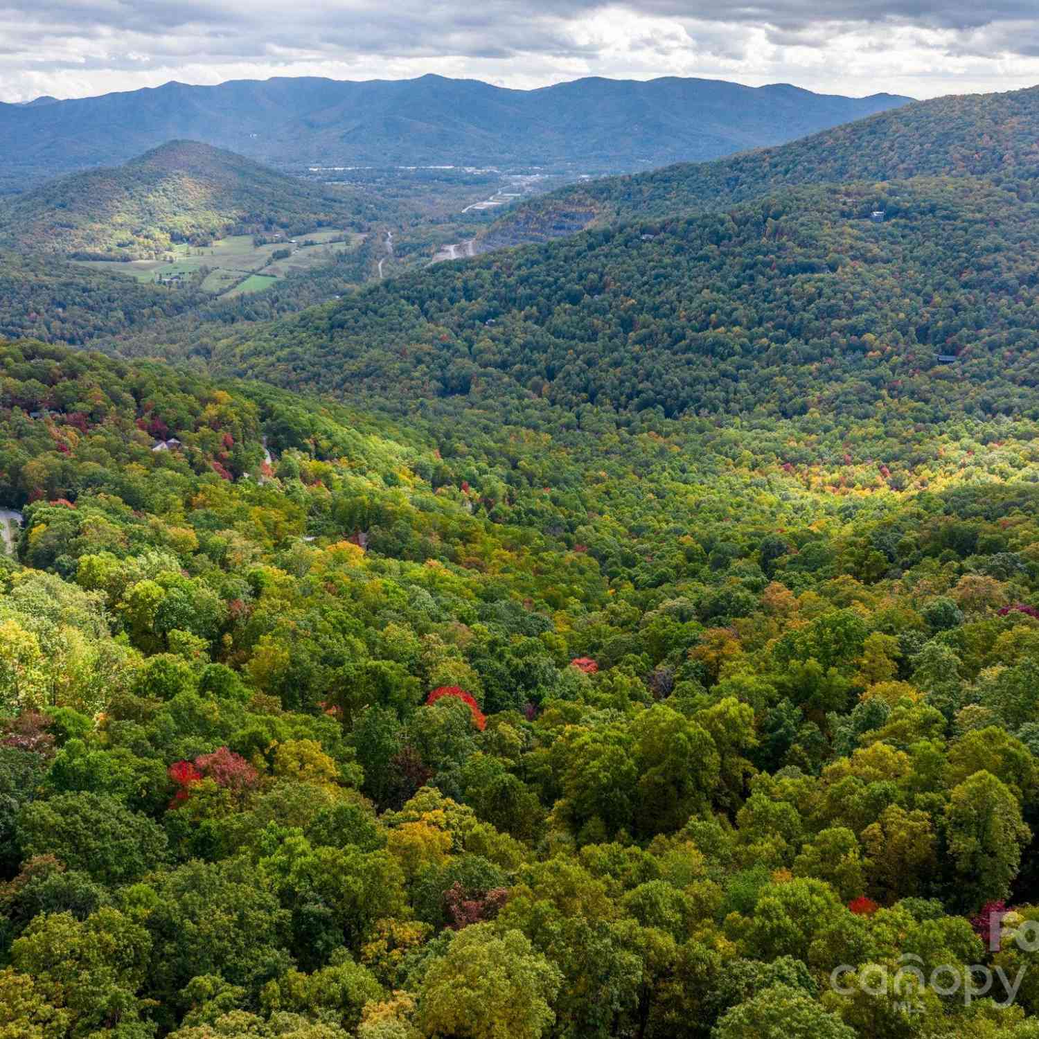 26 Wedgewood Terrace, Black Mountain, North Carolina image 1