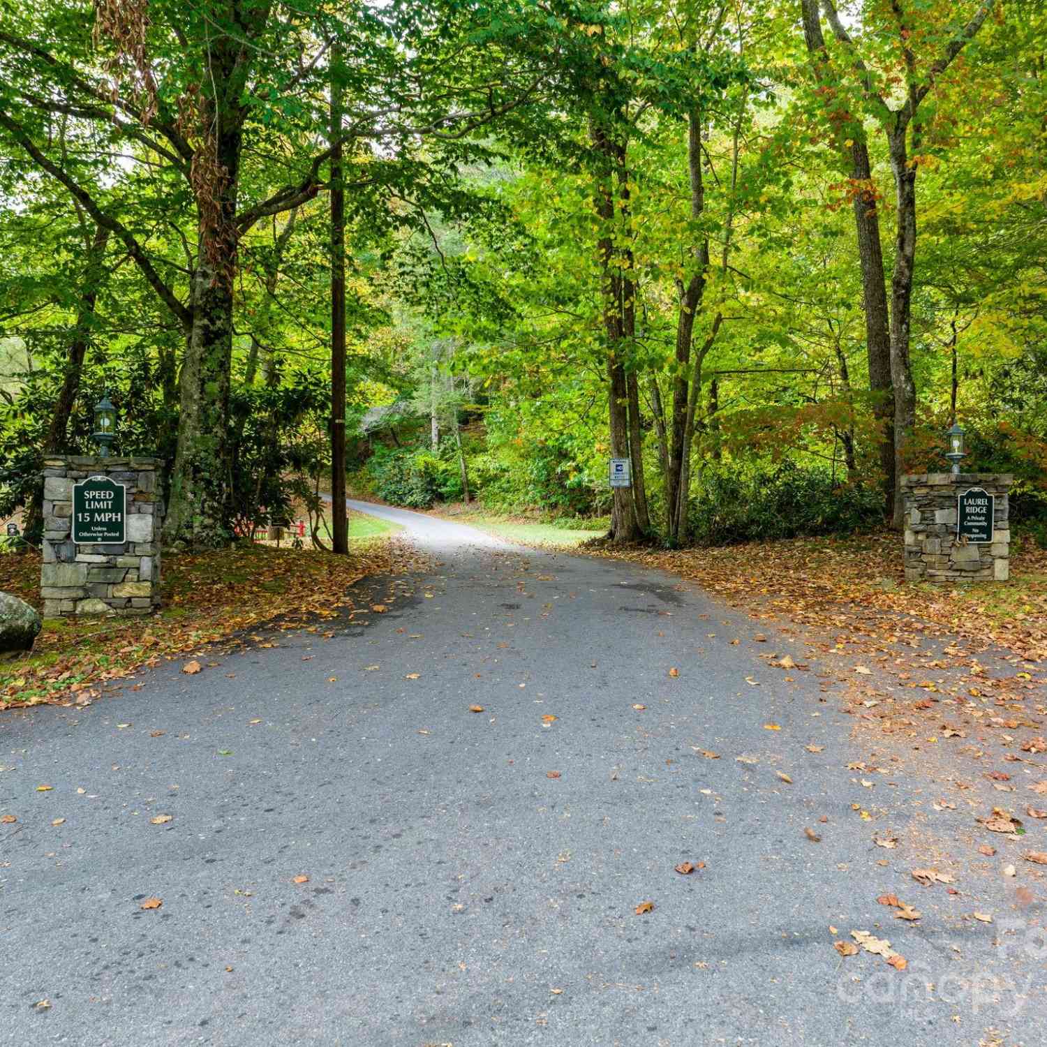 26 Wedgewood Terrace, Black Mountain, North Carolina image 6