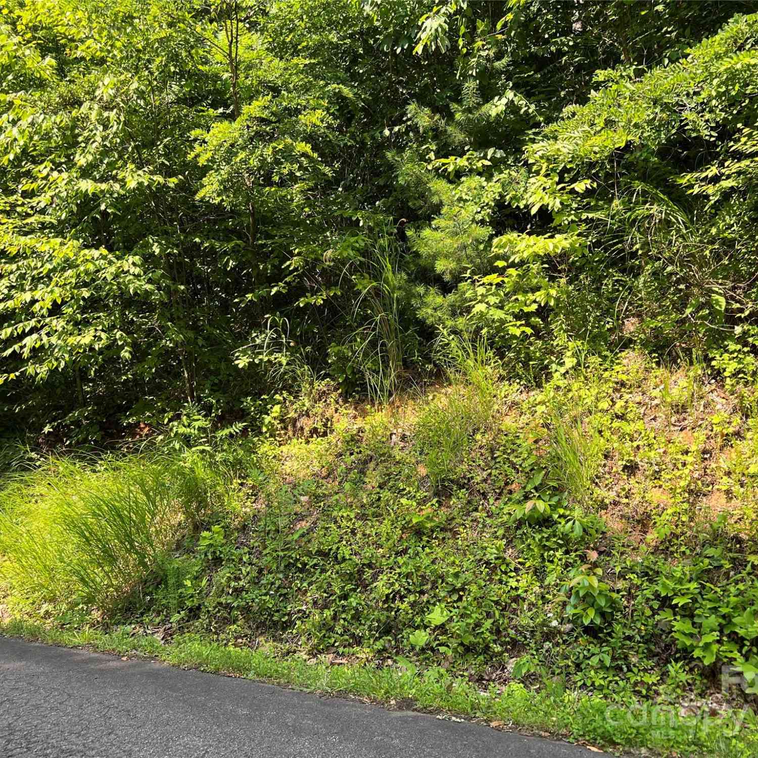 Rising Sun Road #84, Mars Hill, North Carolina image 1