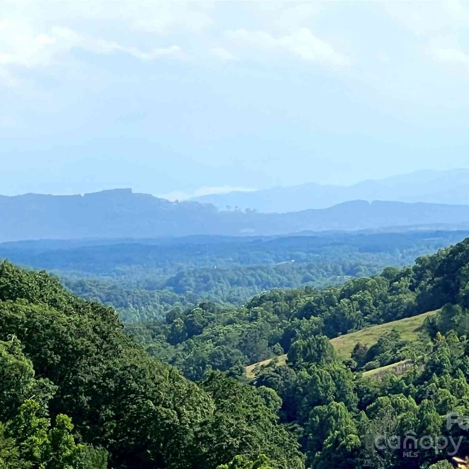 Rising Sun Road #84, Mars Hill, North Carolina image 4