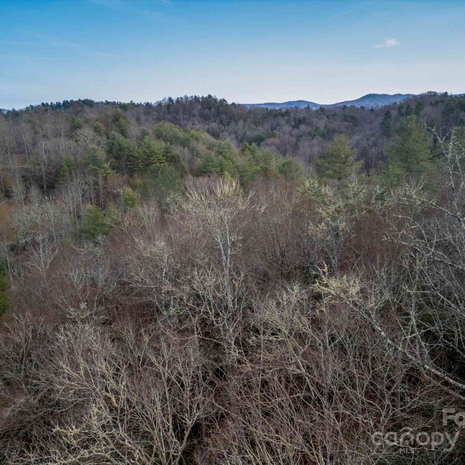 1718 Cashiers Valley Road, Brevard, North Carolina image 18