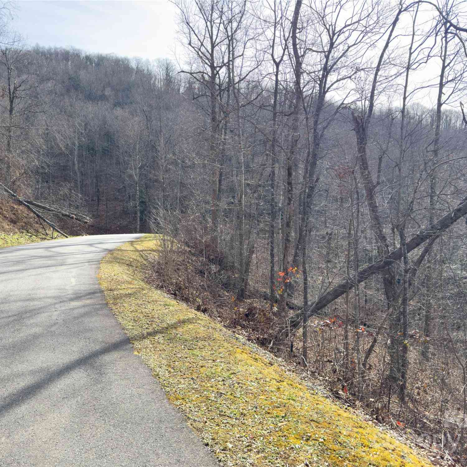 000 Rainbow Trout Drive, Spruce Pine, North Carolina image 7