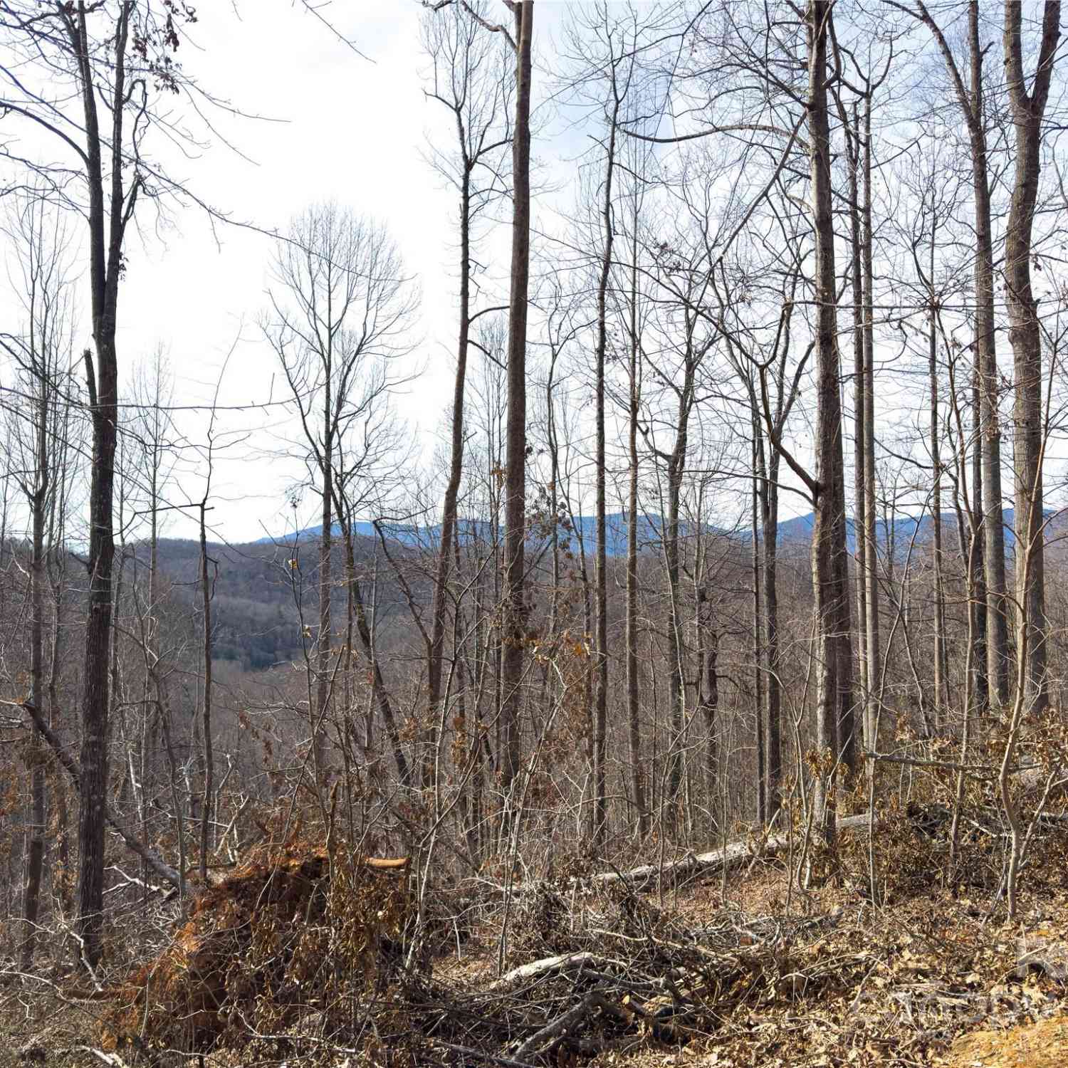 000 Rainbow Trout Drive, Spruce Pine, North Carolina image 4