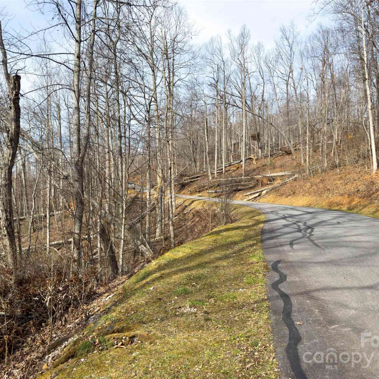 000 Rainbow Trout Drive, Spruce Pine, North Carolina image 10