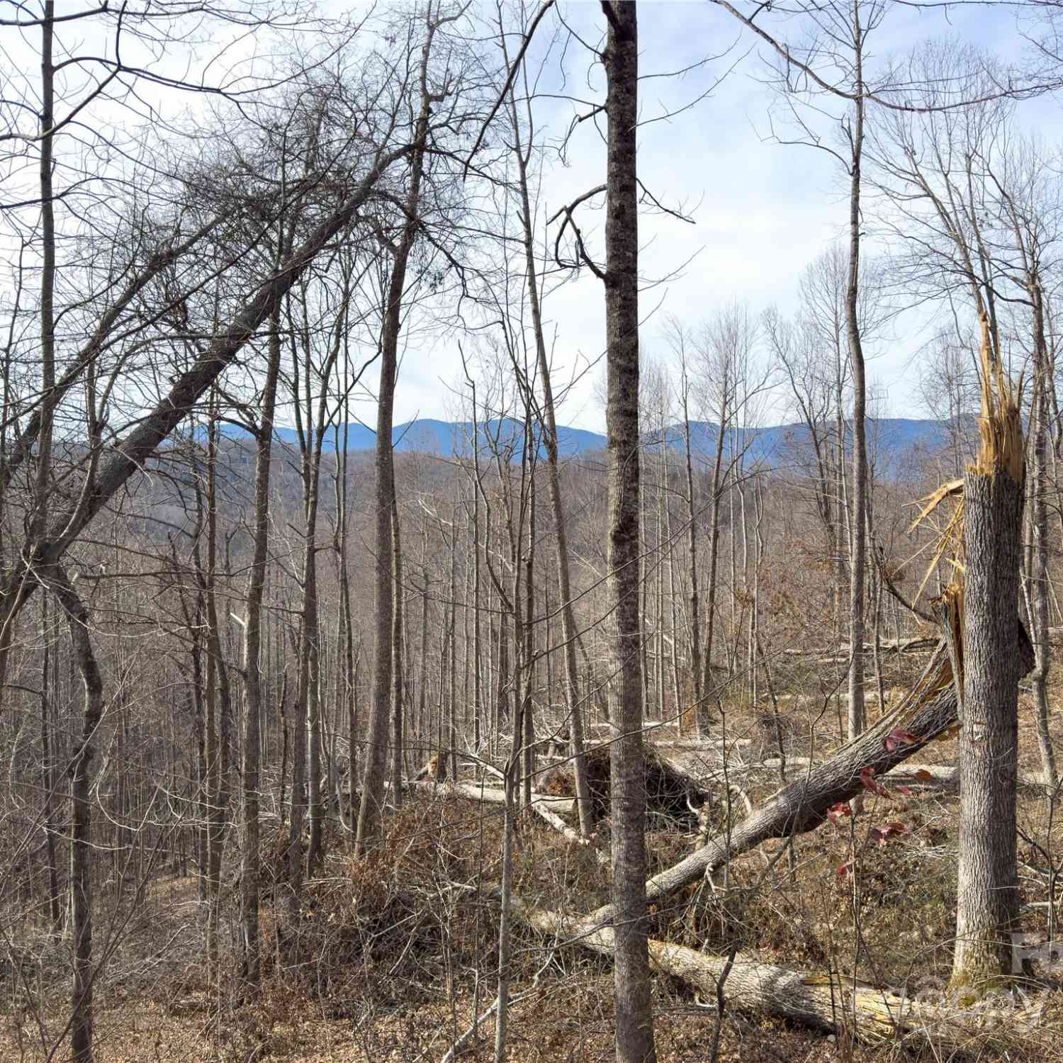 000 Rainbow Trout Drive, Spruce Pine, North Carolina image 8