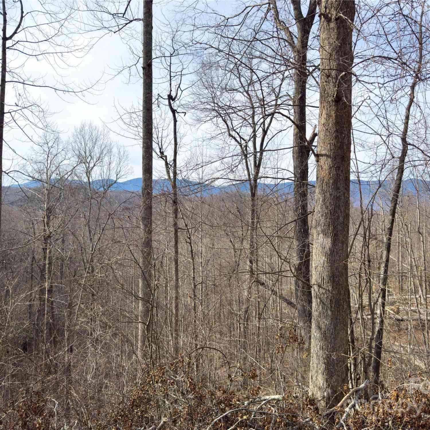 000 Rainbow Trout Drive, Spruce Pine, North Carolina image 9