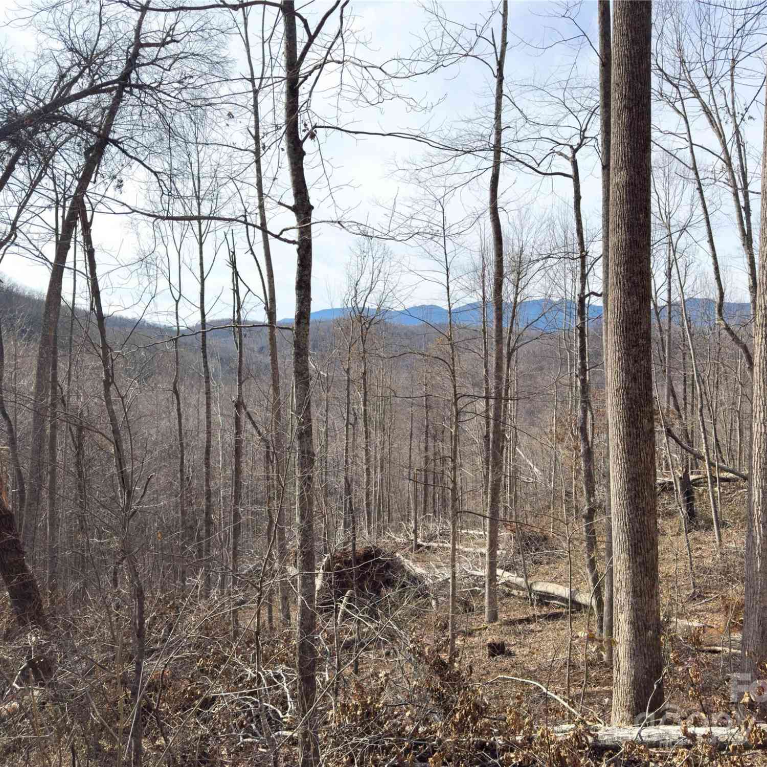 000 Rainbow Trout Drive, Spruce Pine, North Carolina image 12