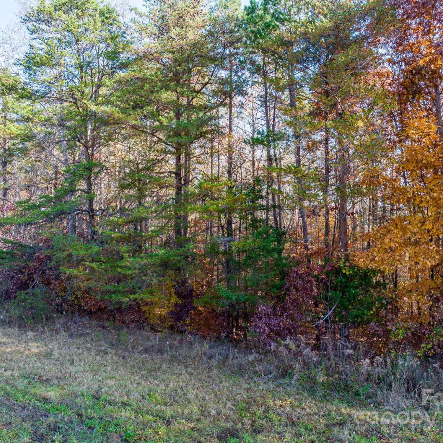 00 Mccorkle Lane, Sherrills Ford, North Carolina image 6