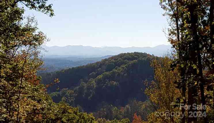 207 Sandys Home Place, Mars Hill, North Carolina image 13