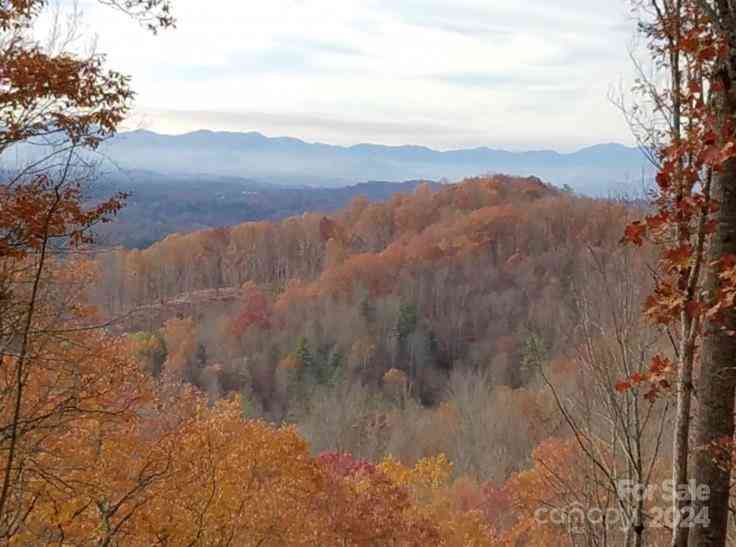 207 Sandys Home Place, Mars Hill, North Carolina image 12