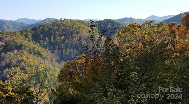 207 Sandys Home Place, Mars Hill, North Carolina image 11