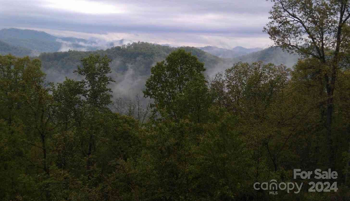 207 Sandys Home Place, Mars Hill, North Carolina image 14