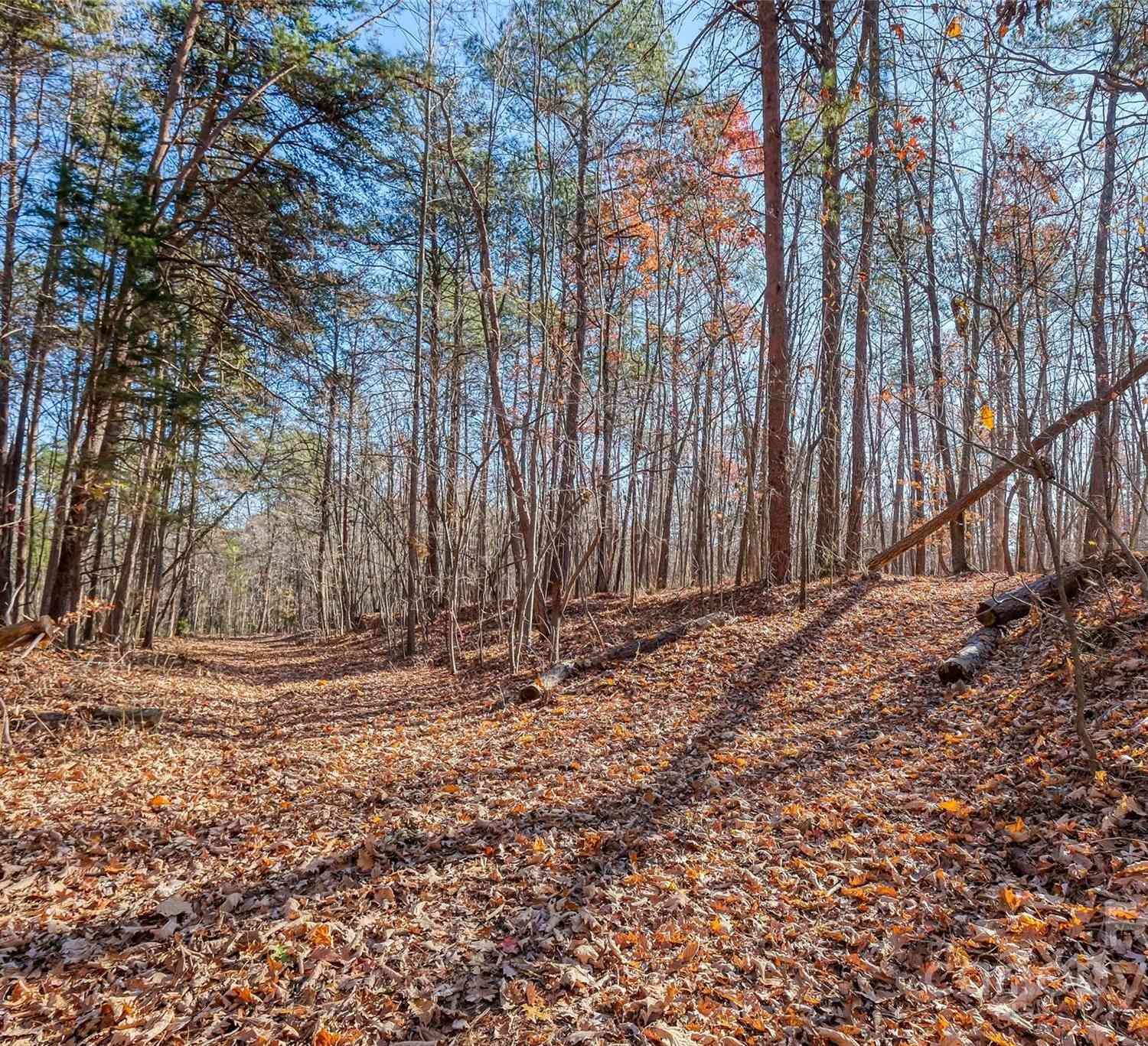 000 Canterbury Road, Kings Mountain, North Carolina image 9