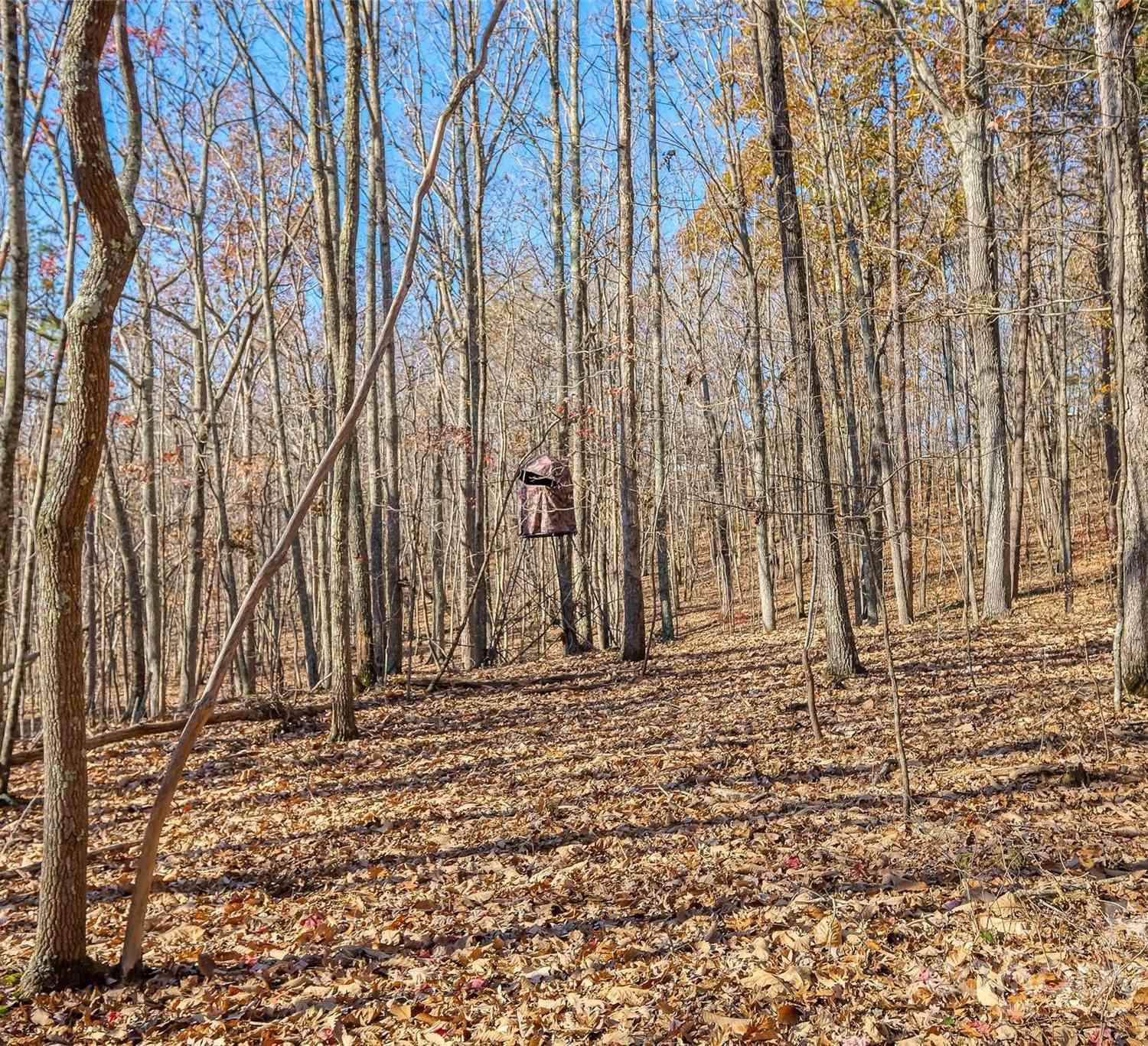 000 Canterbury Road, Kings Mountain, North Carolina image 10