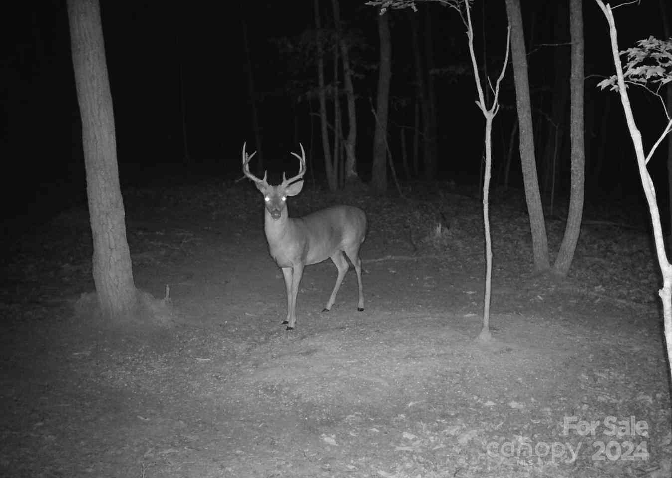 000 Canterbury Road, Kings Mountain, North Carolina image 3