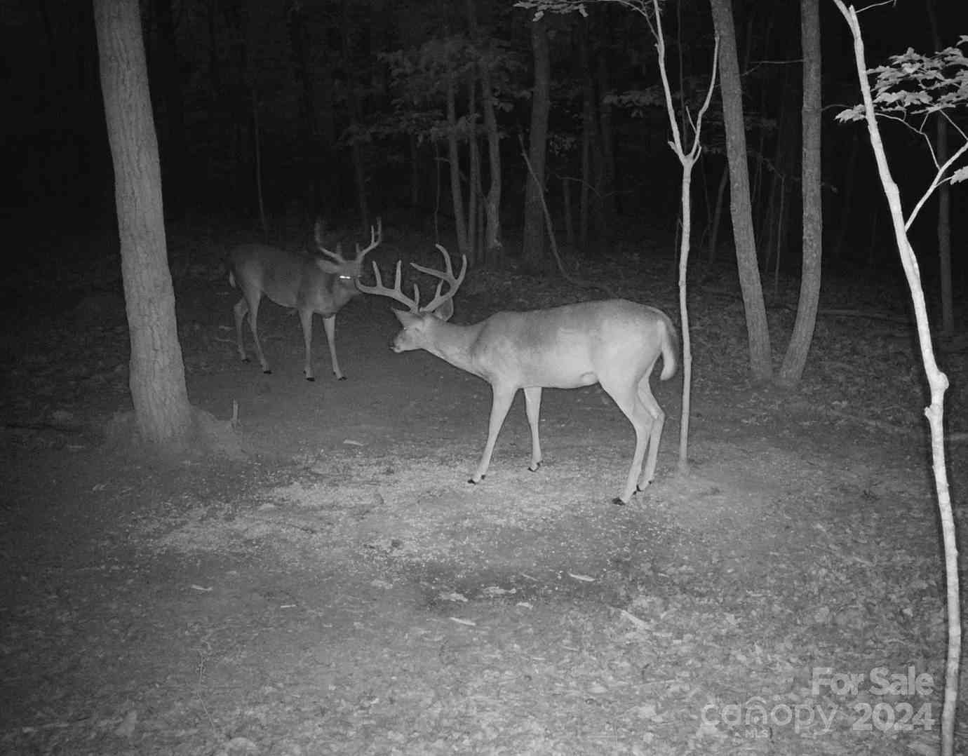 000 Canterbury Road, Kings Mountain, North Carolina image 4