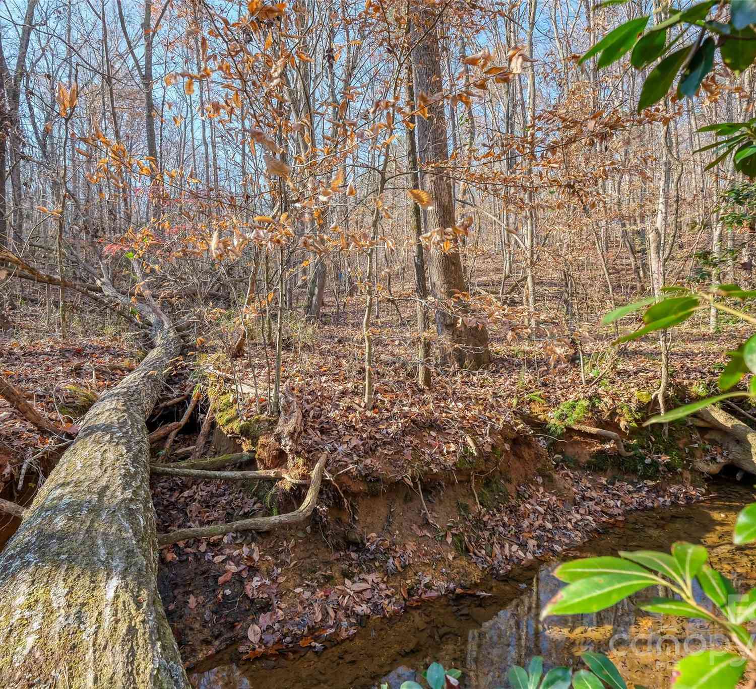 0000 Canterbury Road, Kings Mountain, North Carolina image 18