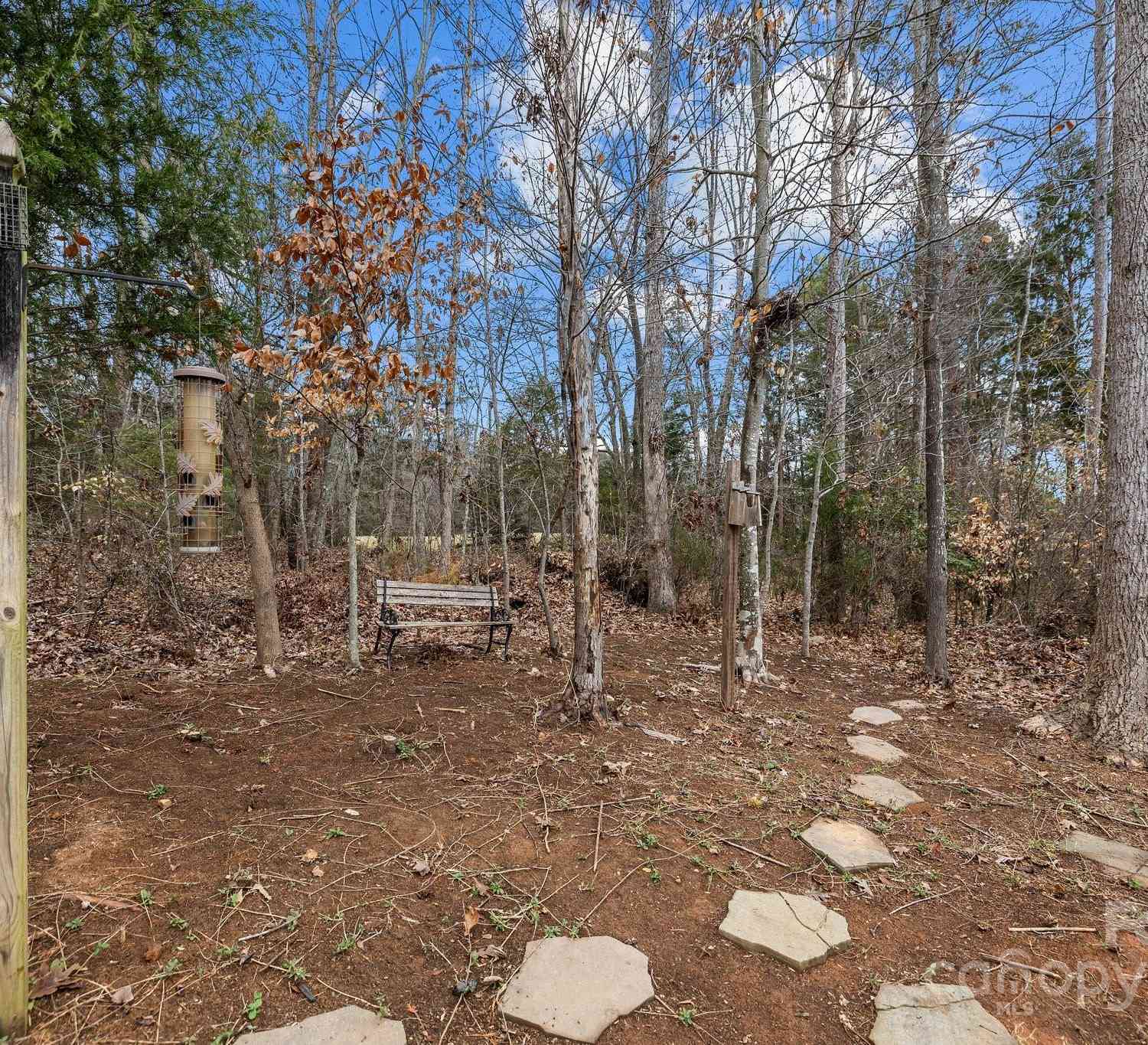 2018 Clarion Drive, Indian Land, South Carolina image 41