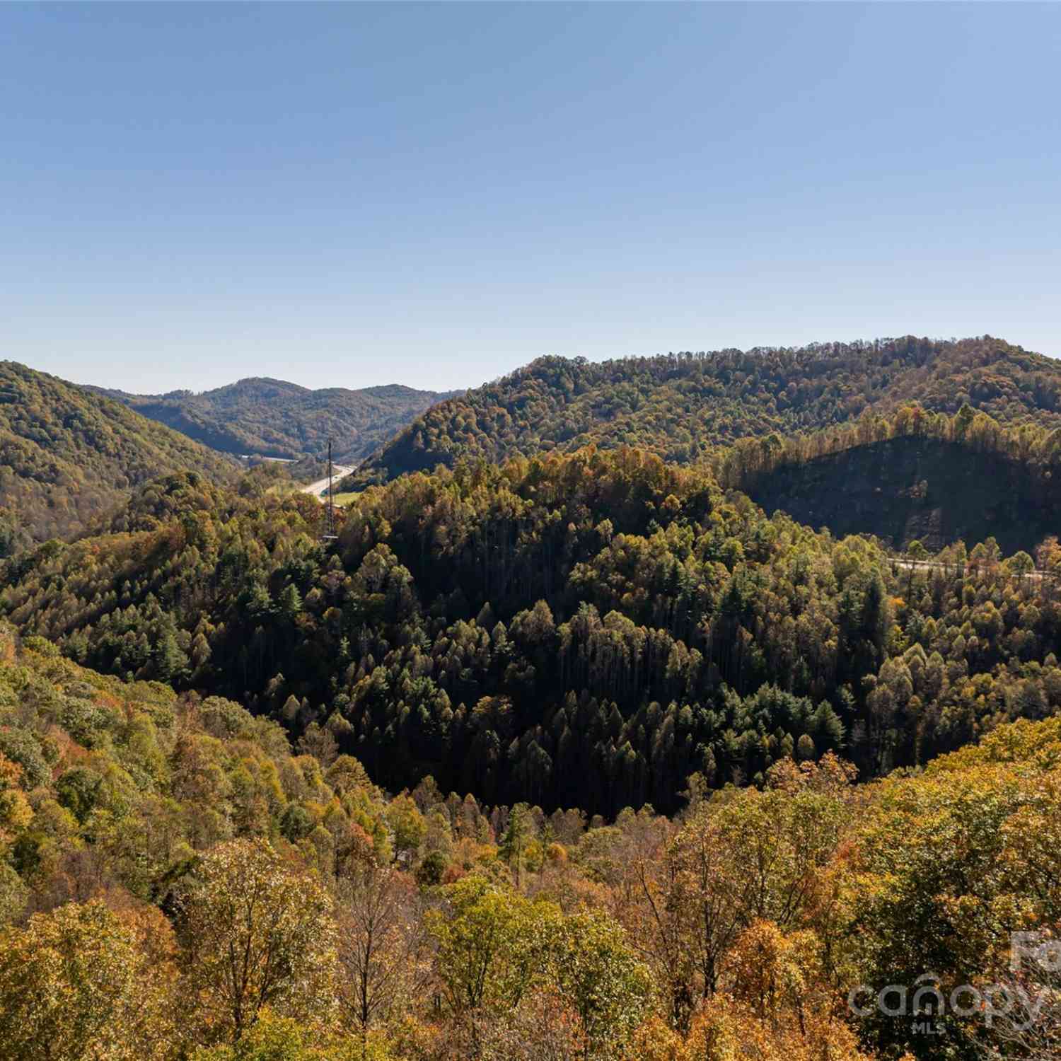 370 Smith Creek Road, Mars Hill, North Carolina image 42