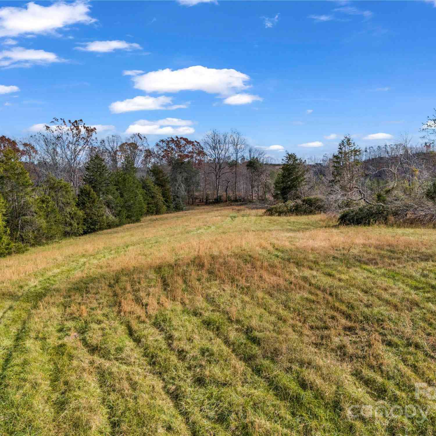 000 Polkville Road, Lawndale, North Carolina image 7