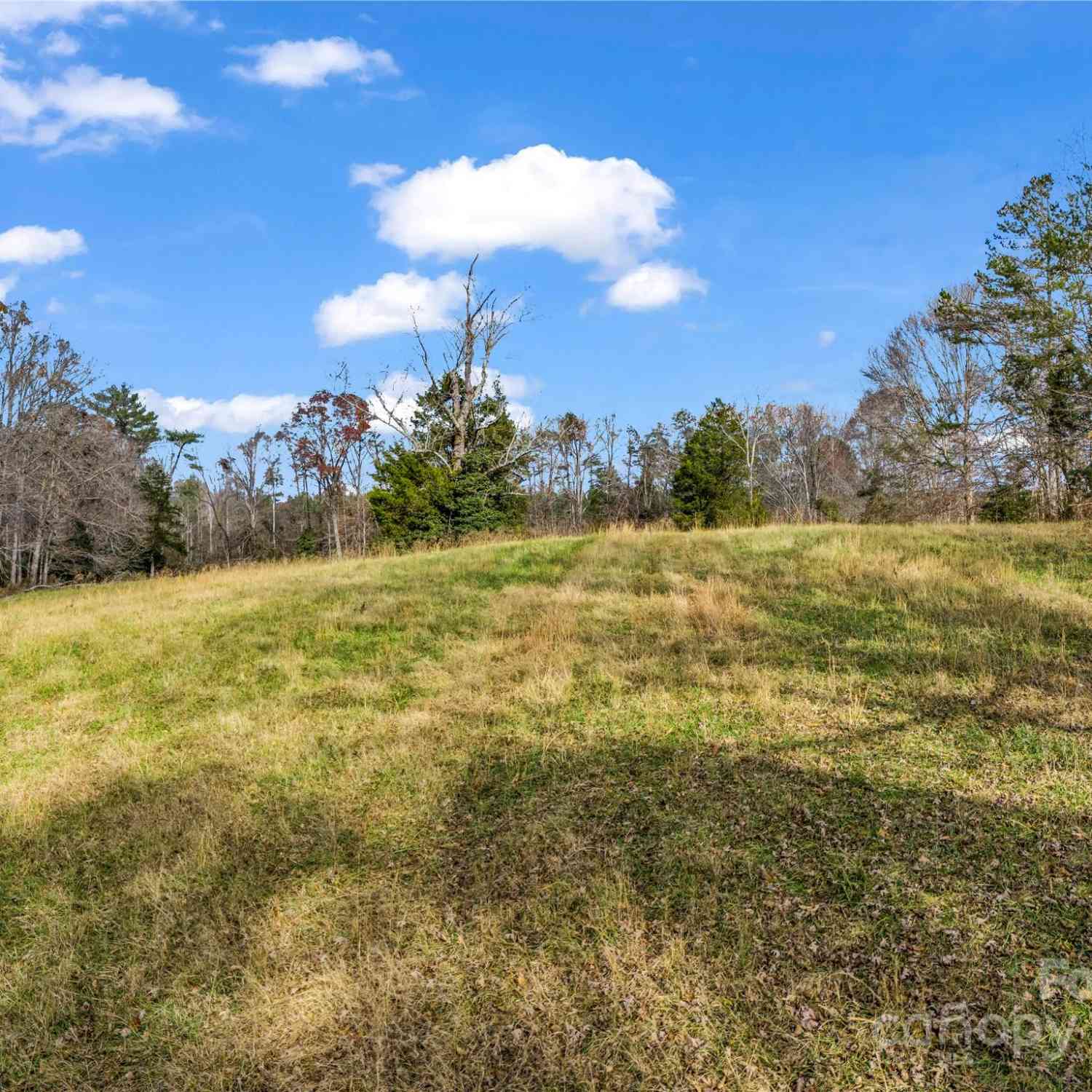 000 Polkville Road, Lawndale, North Carolina image 9