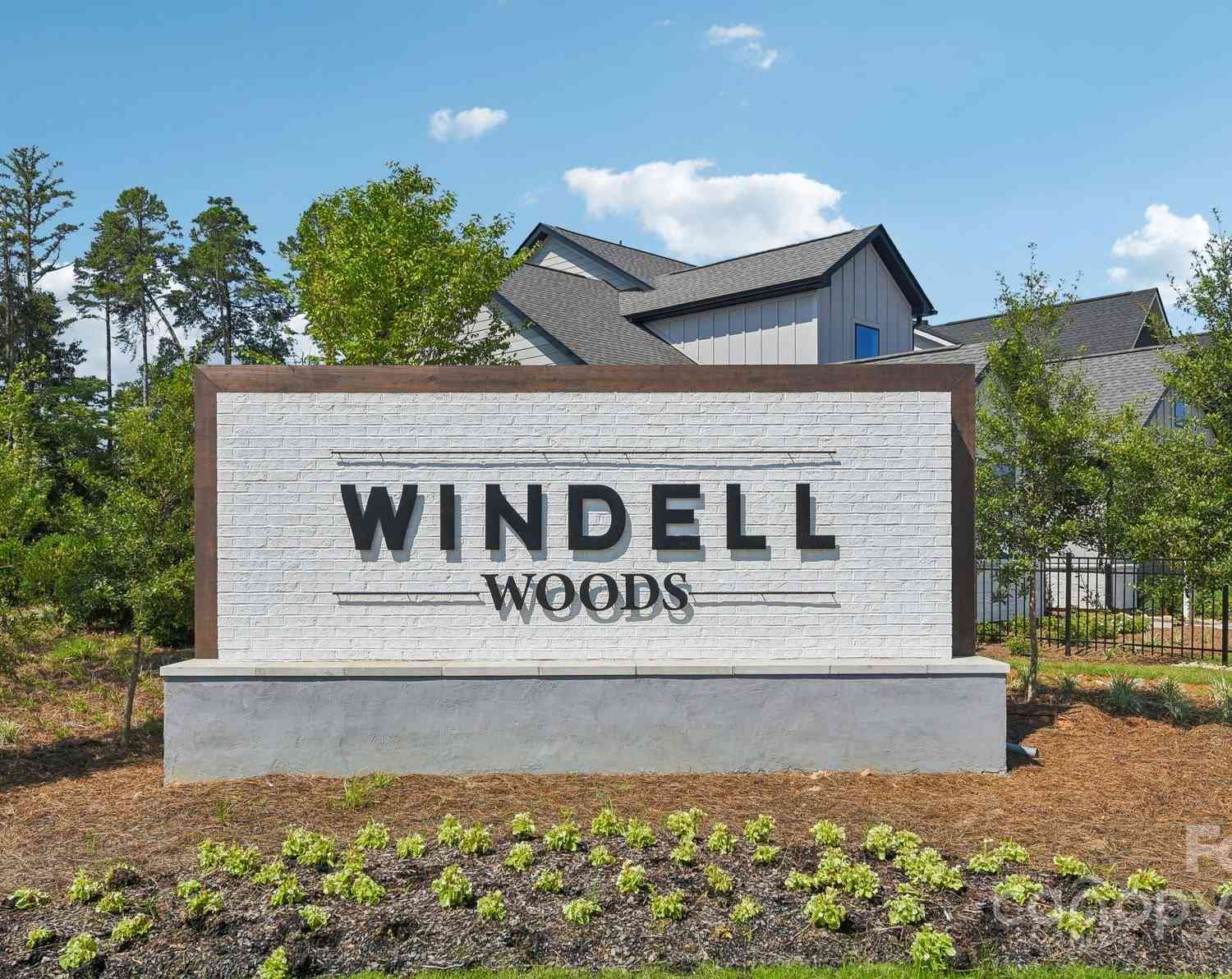 148 Windy Dell Drive, Tega Cay, South Carolina image 1