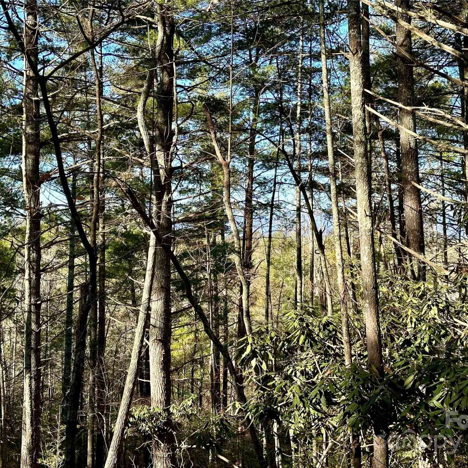 2086 October Drive #147, Nebo, North Carolina image 4