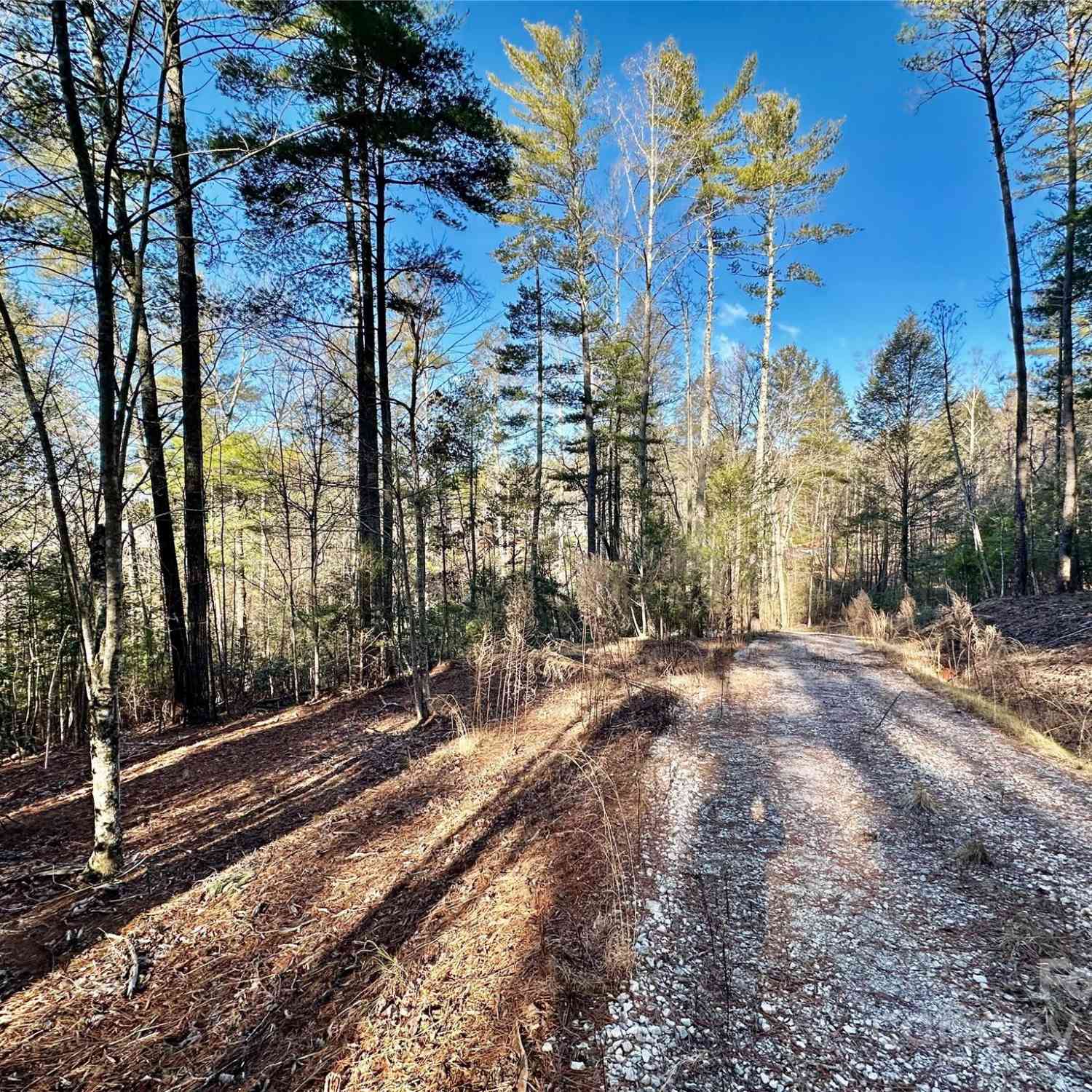 2086 October Drive #147, Nebo, North Carolina image 6