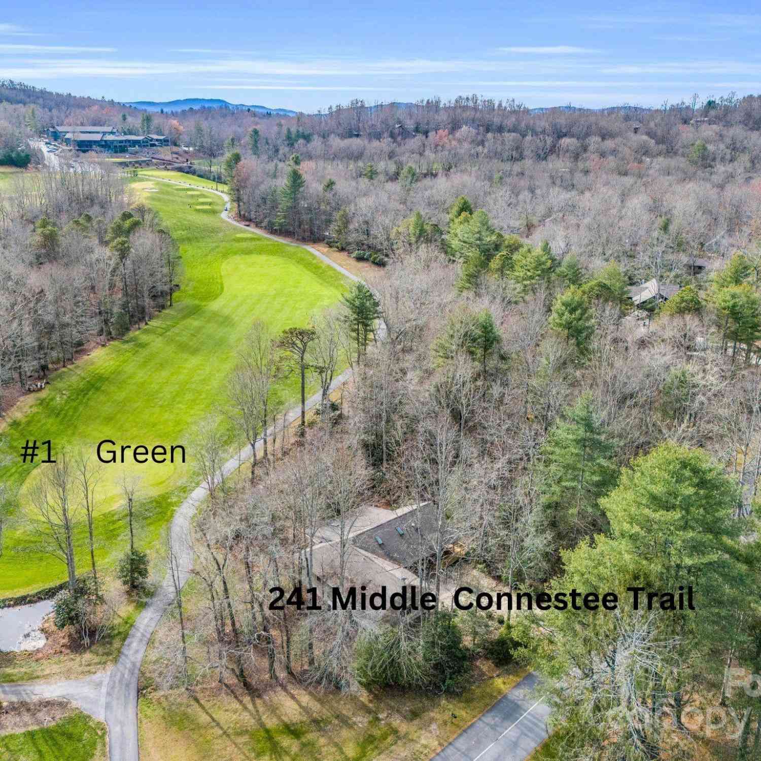 241 Middle Connestee Trail, Brevard, North Carolina image 2