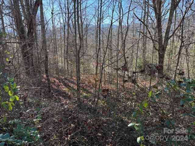 00 Satinwood Drive #19, Waynesville, North Carolina image 5