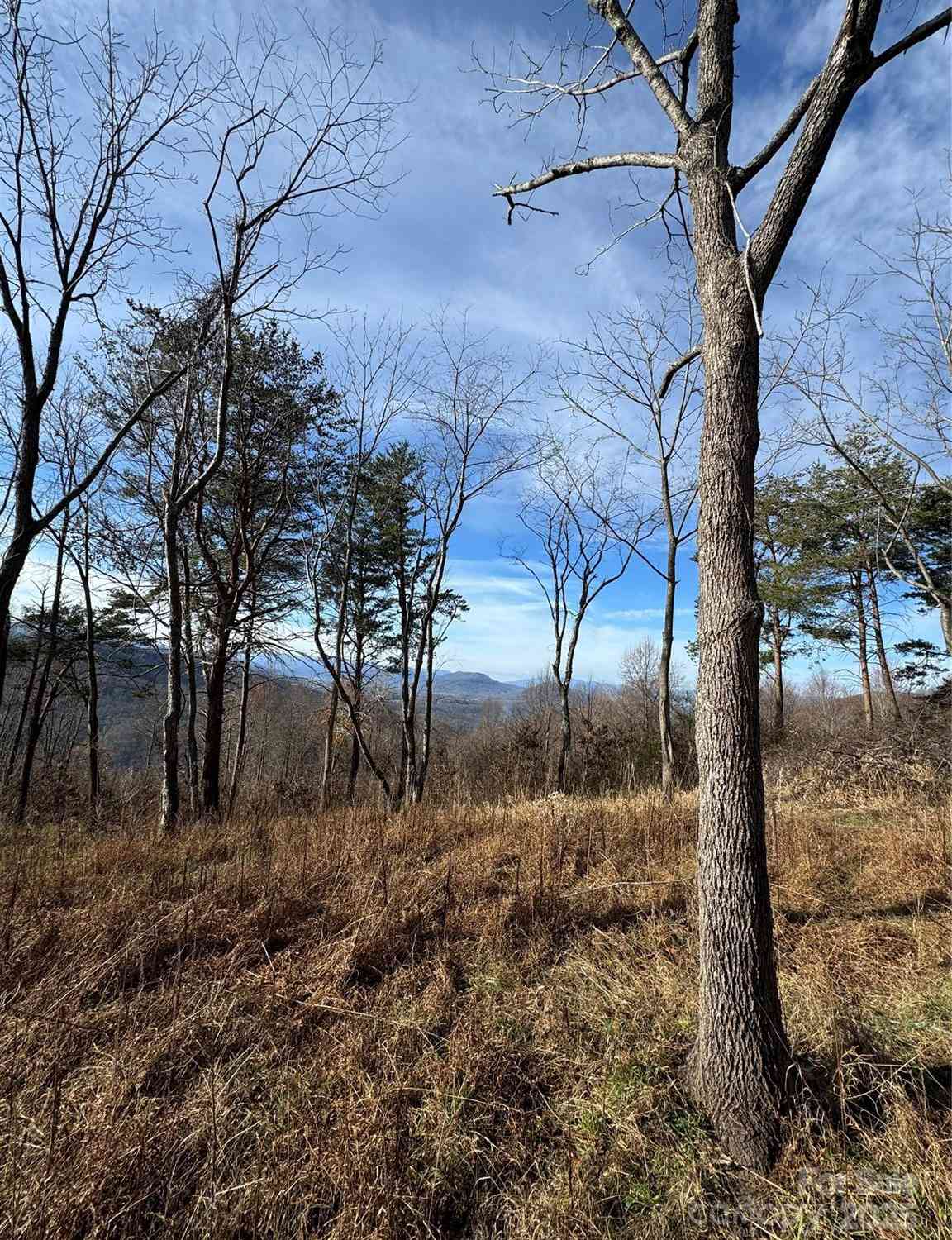 989 High Rock View Drive #50, Canton, North Carolina image 32